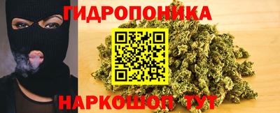 твердый Берёзовский