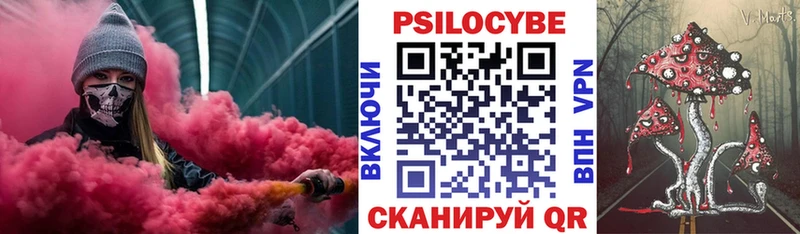 Псилоцибиновые грибы Magic Shrooms  Камень-на-Оби 