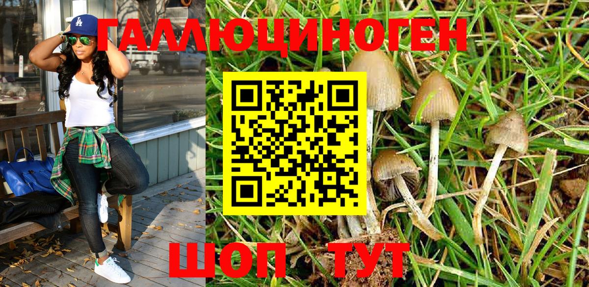 Камень-на-Оби  Галлюциногенные грибы Cubensis  Псилоцибиновые грибы Cubensis  Вход с VPN 