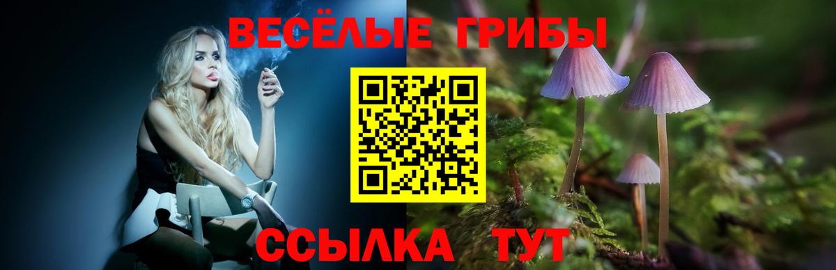 Псилоцибиновые грибы мицелий Камень-на-Оби